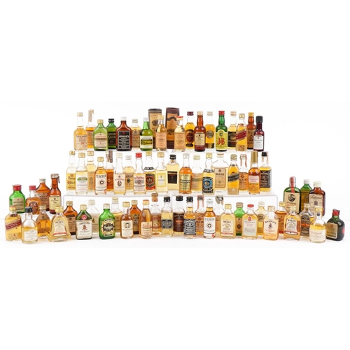 Lot 495       