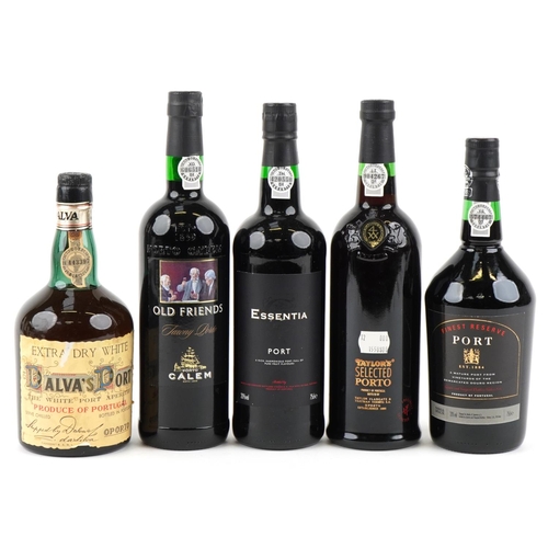 Lot 481       