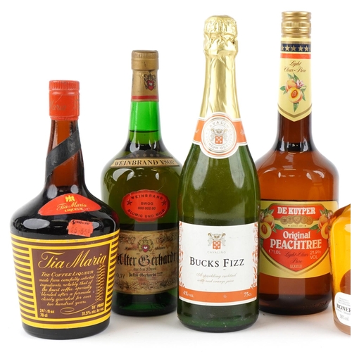 517 - A group of alcohol including a Martini Bianco vermouth, a Licor de Amora blackberry liqueur, a Tia M... 