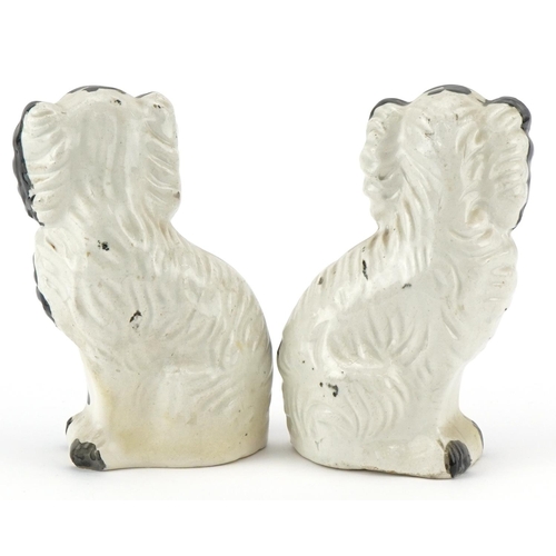 218 - A pair of Staffordshire pottery black and white Spaniels, 14cm high.
