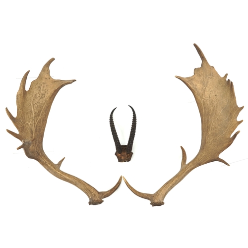 Lot 2647      