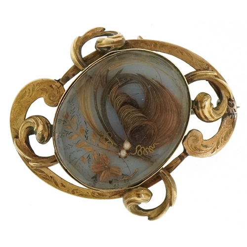 Lot 3038      