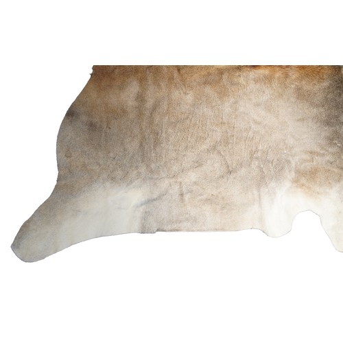 2502 - A large deer hide, 198cm in length.