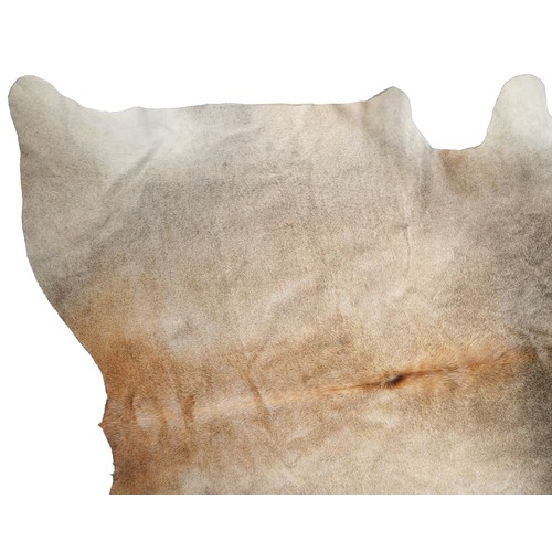 2502 - A large deer hide, 198cm in length.