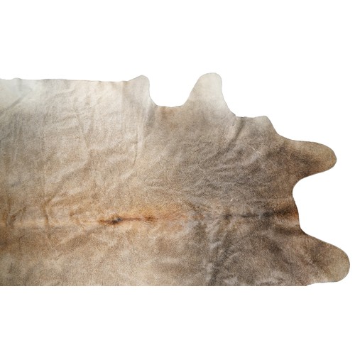 2502 - A large deer hide, 198cm in length.