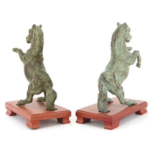 44 - A pair of Chinese patinated bronze figures of rearing horses on hardwood stands, each 20cm high.