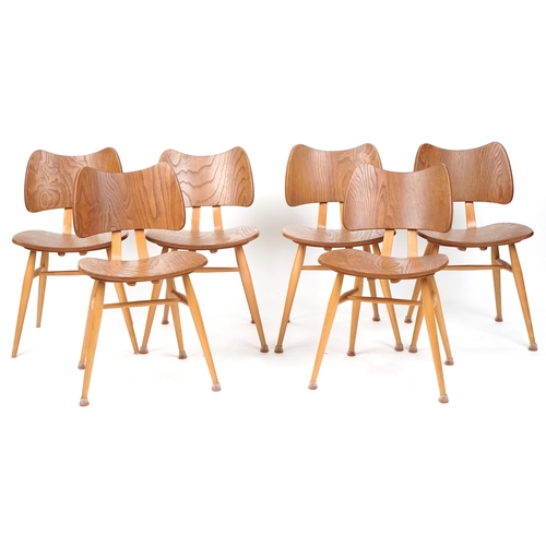 A set of six Ercol beech and elm 'butterfly' dining chairs raised on tapering legs, 75cm high x 43cm wide.