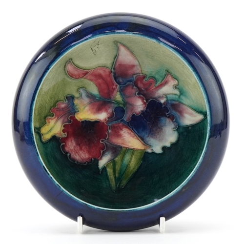 Lot 35        