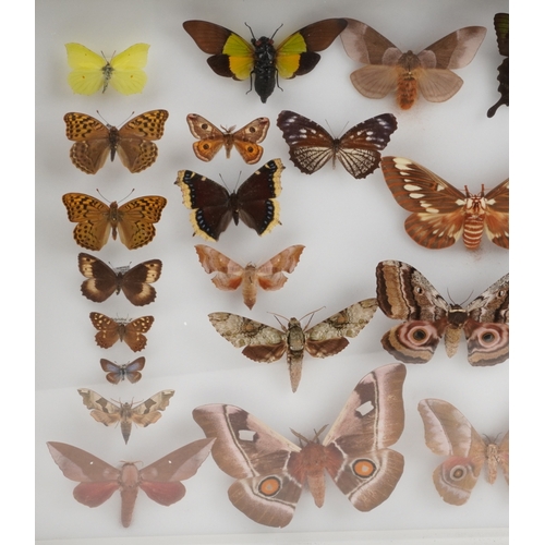 183 - A collection of specimen butterflies, moths and insects housed in two glazed mahogany display cases ... 