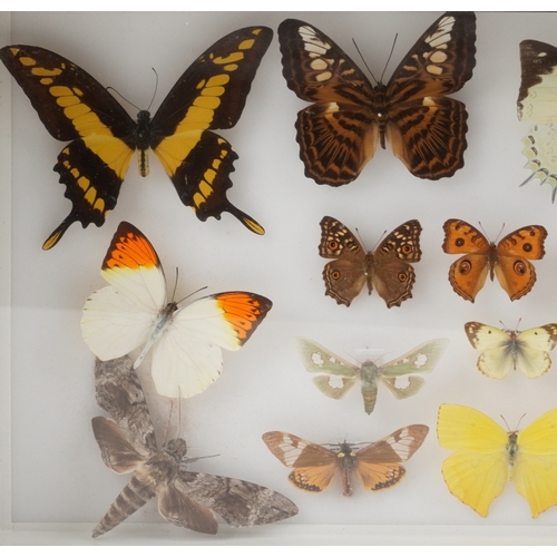 185 - A collection of specimen butterflies, moths and insects housed in two glazed wooden display cases in... 