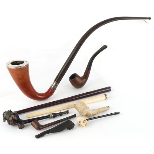 Lot 287       