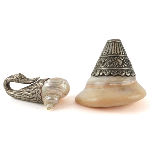 Two pearlised shells with white metal mounts including a turbo shell in ...