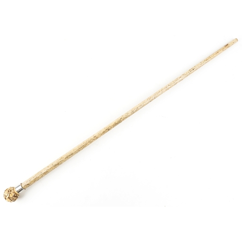 418 - A Victorian whalebone walking stick with silver collar, Birmingham 1894, the handle carved with frog... 
