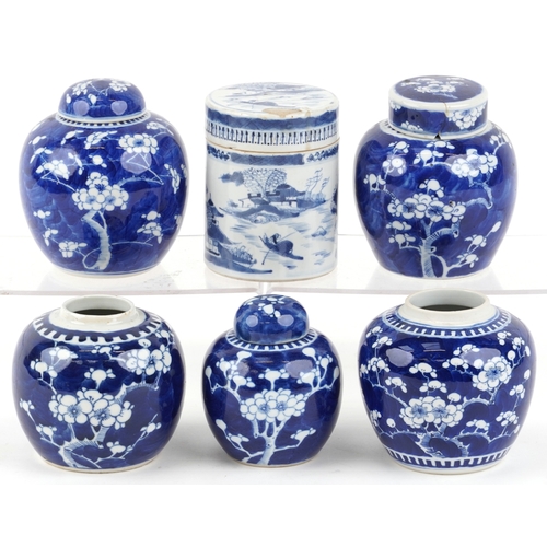 559 - Six Chinese blue and white porcelain ginger jars, each with hand painted floral decoration, one hand... 