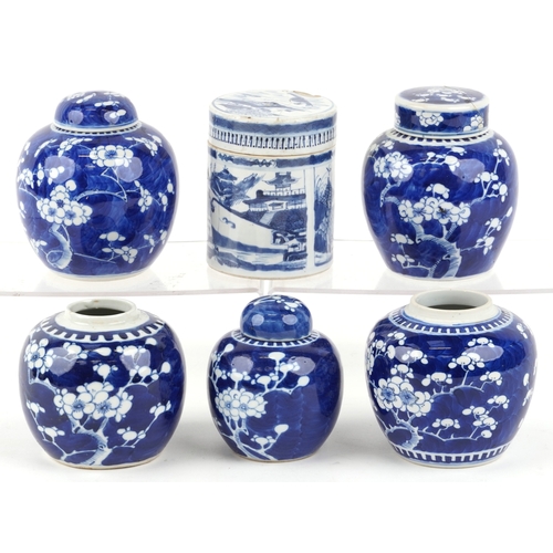 559 - Six Chinese blue and white porcelain ginger jars, each with hand painted floral decoration, one hand... 