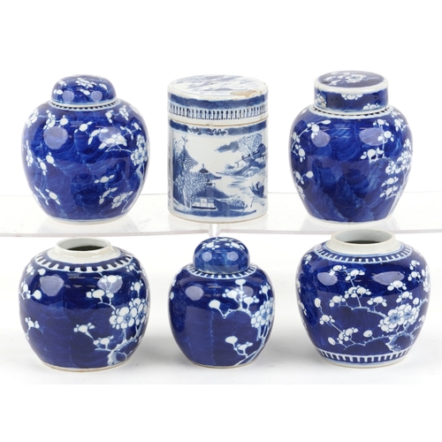 559 - Six Chinese blue and white porcelain ginger jars, each with hand painted floral decoration, one hand... 