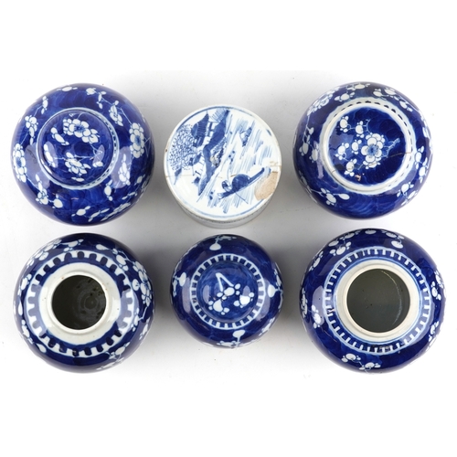 559 - Six Chinese blue and white porcelain ginger jars, each with hand painted floral decoration, one hand... 