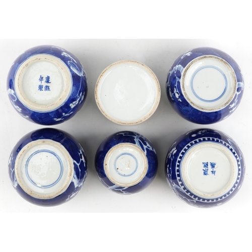 559 - Six Chinese blue and white porcelain ginger jars, each with hand painted floral decoration, one hand... 