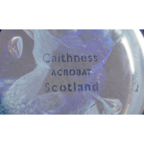 639 - A collection of glass paperweights including Caithness, Wedgwood and millefiori examples, the larges... 