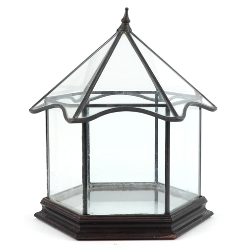 1527 - A 20th century leaded glass terrarium raised on a hexagonal teak base, 40cm high.