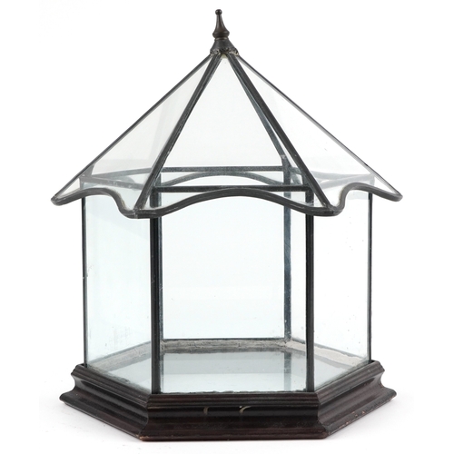 1527 - A 20th century leaded glass terrarium raised on a hexagonal teak base, 40cm high.