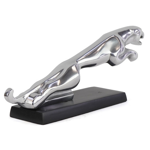 1566 - A motoring interest chromed Jaguar style car mascot raised on a black metal base, 29cm in length.