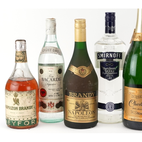 12 - Nine bottles of alcohol including a magnum of bottle of Charlemagne Demi Sec, Napoleon brandy, Smirn... 