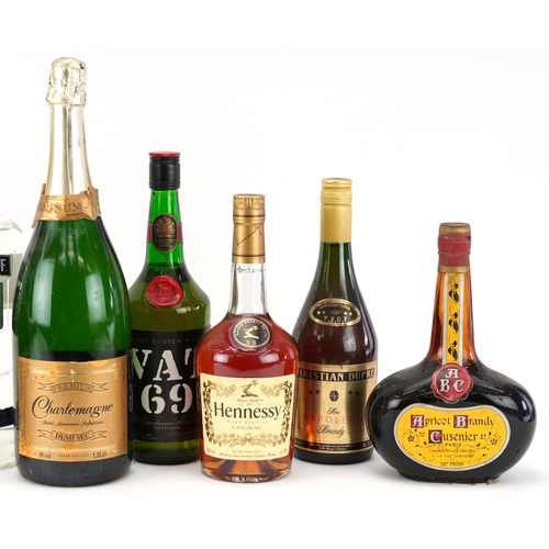 12 - Nine bottles of alcohol including a magnum of bottle of Charlemagne Demi Sec, Napoleon brandy, Smirn... 