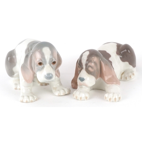 601 - Two Lladro porcelain models of dogs, D-13N, AOE, the largest 18cm in length.