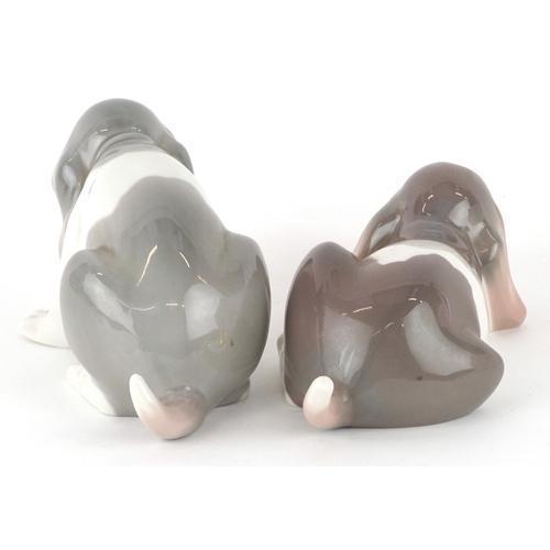 601 - Two Lladro porcelain models of dogs, D-13N, AOE, the largest 18cm in length.