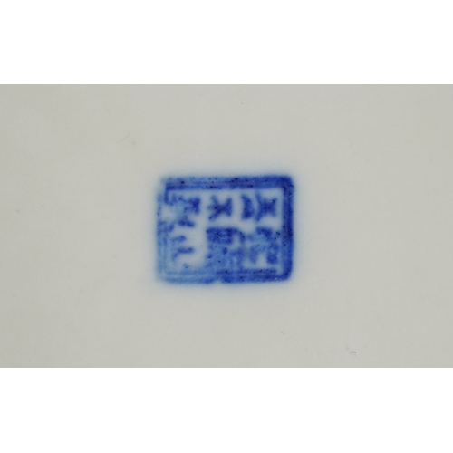 511 - A pair of Chinese blue and white porcelain circular shallow bowls, 20th century, with hand painted f... 