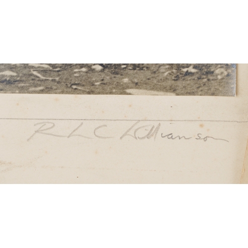 1298 - A collection of black and white bird photographs, mostly signed by G R Duval including a greenfinch,... 