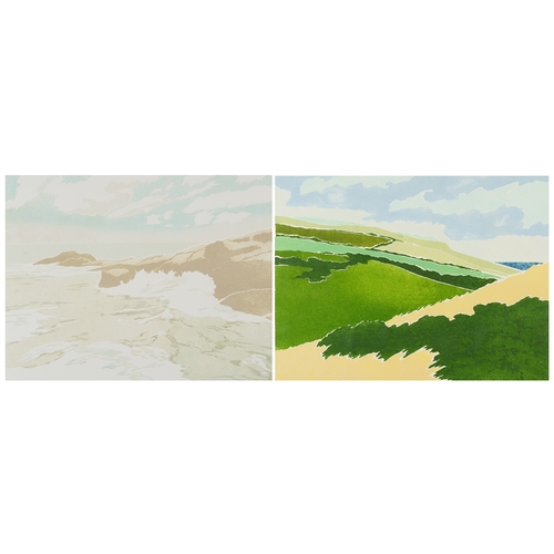 2334 - Barbara Newcomb (1936-2020) - Sealand III, 20th century British school signed and editioned print, 9... 