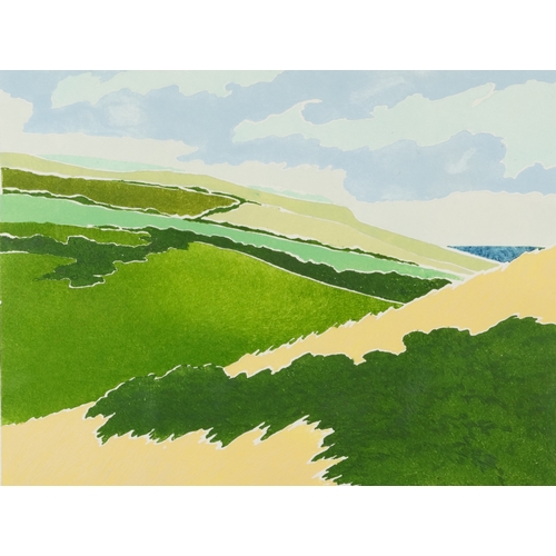 2334 - Barbara Newcomb (1936-2020) - Sealand III, 20th century British school signed and editioned print, 9... 