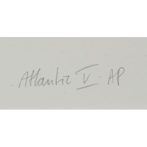 2334 - Barbara Newcomb (1936-2020) - Sealand III, 20th century British school signed and editioned print, 9... 