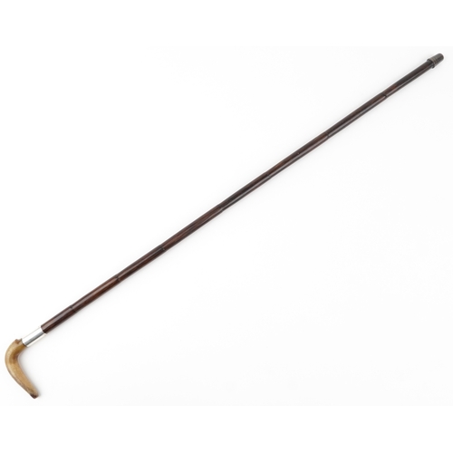 422 - A vintage cane walking stick with horn handle and silver collar, 85cm in length.