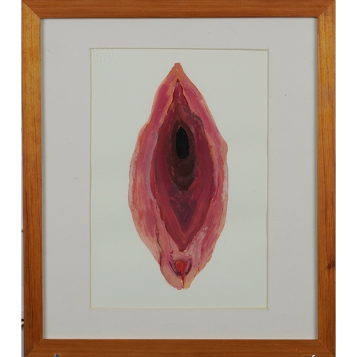 2549 - Female sexual organ, Modern British school watercolour on card, mounted, framed and glazed, 27cm x 1... 