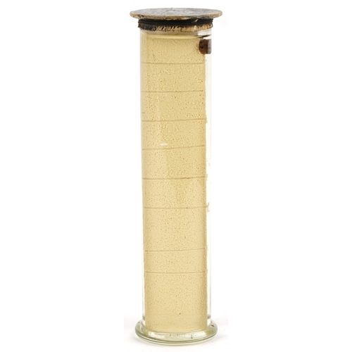 345 - A 19th century Russian taxidermy wet specimen life cycle of a salmon 29.5cm high.
