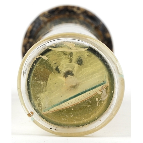 345 - A 19th century Russian taxidermy wet specimen life cycle of a salmon 29.5cm high.