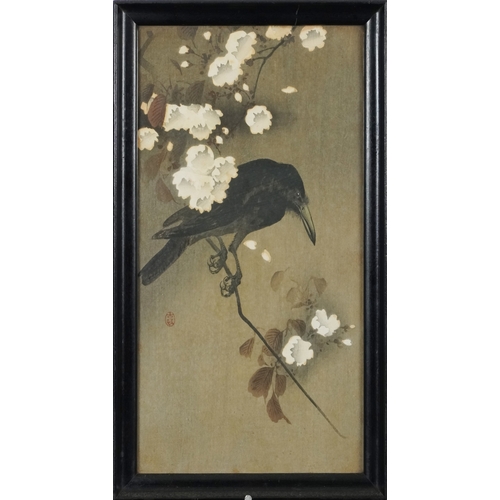 2453 - Crow and Blossom, a Japanese watercolour on paper within an ebonised frame, 33cm x 18cm.