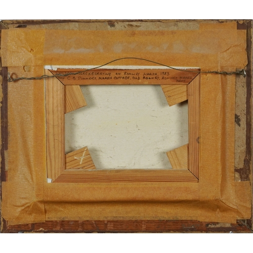 2456 - C. B. Summers - Romney Marsh, Kent, late 20th century British school oil on canvas within a gilt fra... 