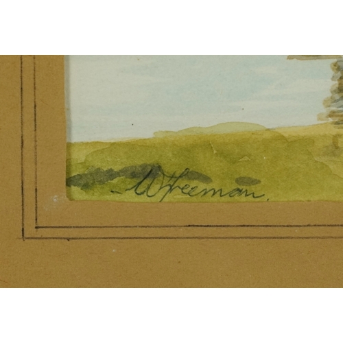 2521 - W. Freeman - Boats near Rye, 20th century British school watercolour on paper, signed, framed and gl... 