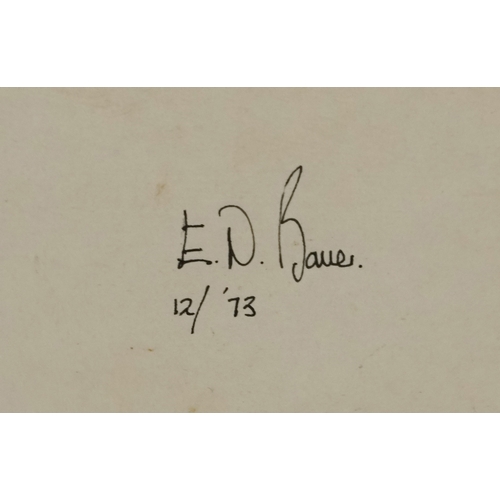 2779 - E. N. Bauer - Fairey Barracuda, 20th century British school mixed media on paper, framed and glazed,... 