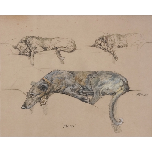 2398 - A. Nixon - Ross, 20th century British school mixed media on paper, framed and glazed, 45cm x 87cm.