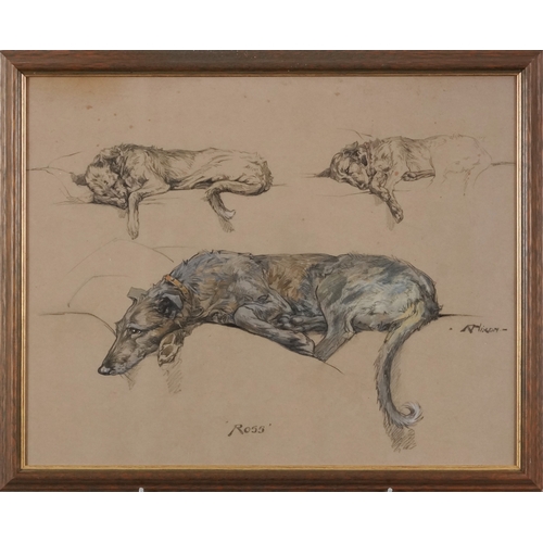 2398 - A. Nixon - Ross, 20th century British school mixed media on paper, framed and glazed, 45cm x 87cm.