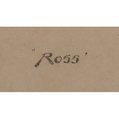 2398 - A. Nixon - Ross, 20th century British school mixed media on paper, framed and glazed, 45cm x 87cm.