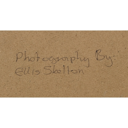 2554 - Donna Southern (Eastbourne 1960-2024) - The Furlongs, Jevington, East Sussex, photographic print, fr... 