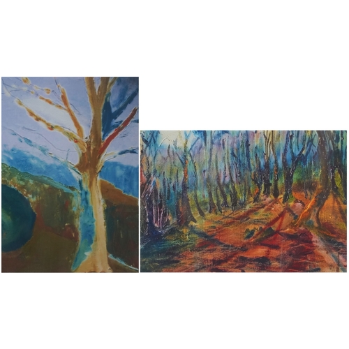 2445 - Donna Southern (Eastbourne 1960-2024) - A pair of abstract photographic prints, framed and glazed, 1... 