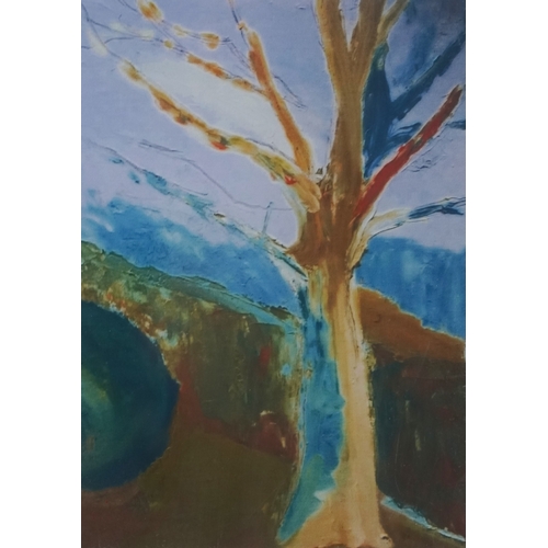 2445 - Donna Southern (Eastbourne 1960-2024) - A pair of abstract photographic prints, framed and glazed, 1... 