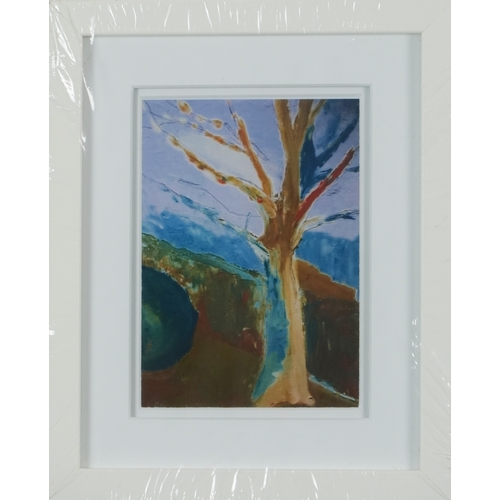 2445 - Donna Southern (Eastbourne 1960-2024) - A pair of abstract photographic prints, framed and glazed, 1... 